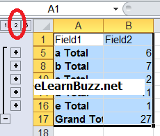 Copy only Subtotal Rows in MS Excel