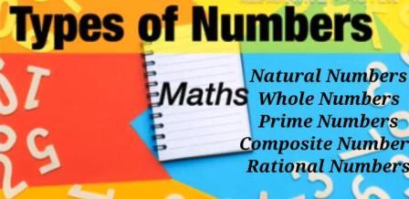 Number Types Prime Number, Natural Number, Whole Number etc