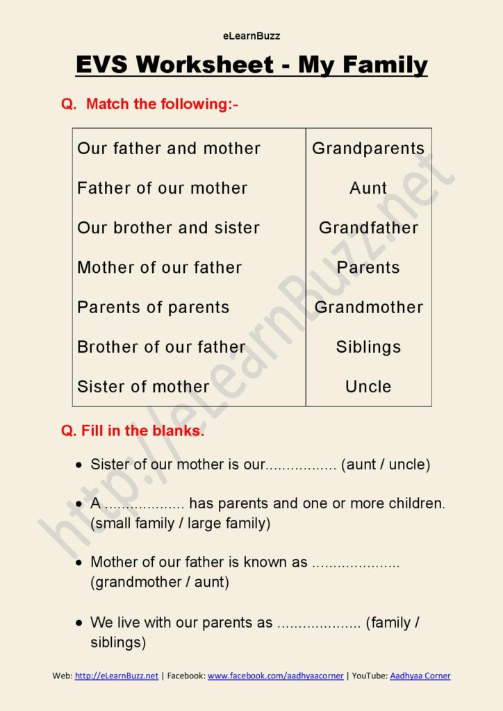 My Family Worksheet - 3