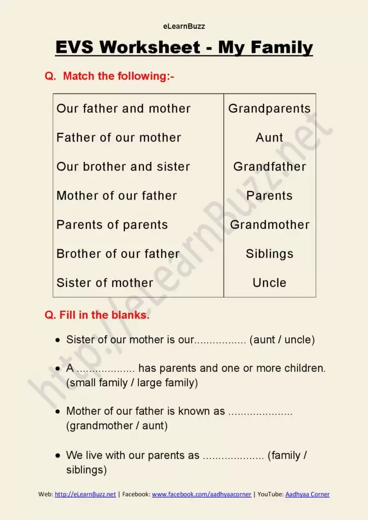 My Family Worksheet - 3