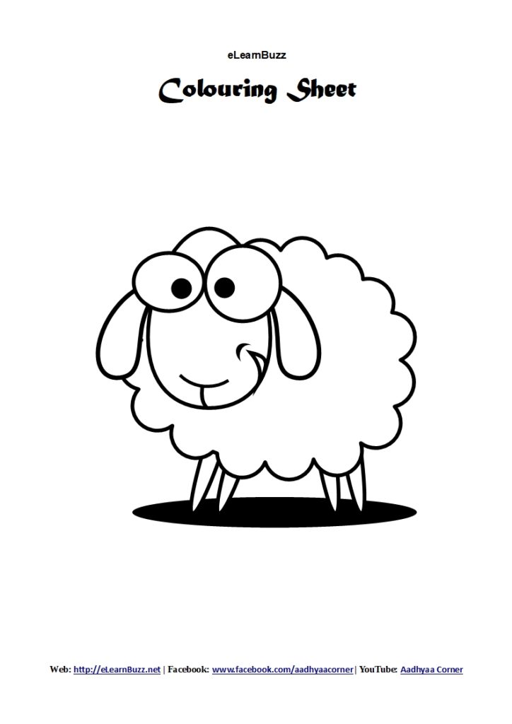Coloring Sheet Sheep for Preschoolers