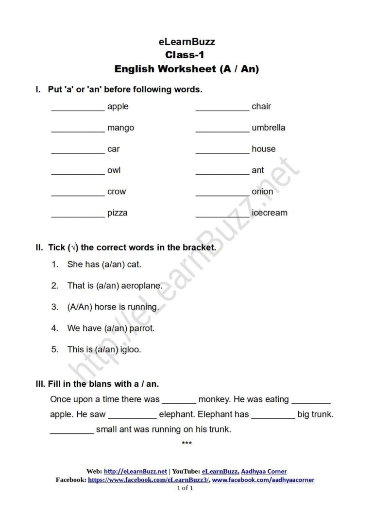 use of a and an worksheet for class 1