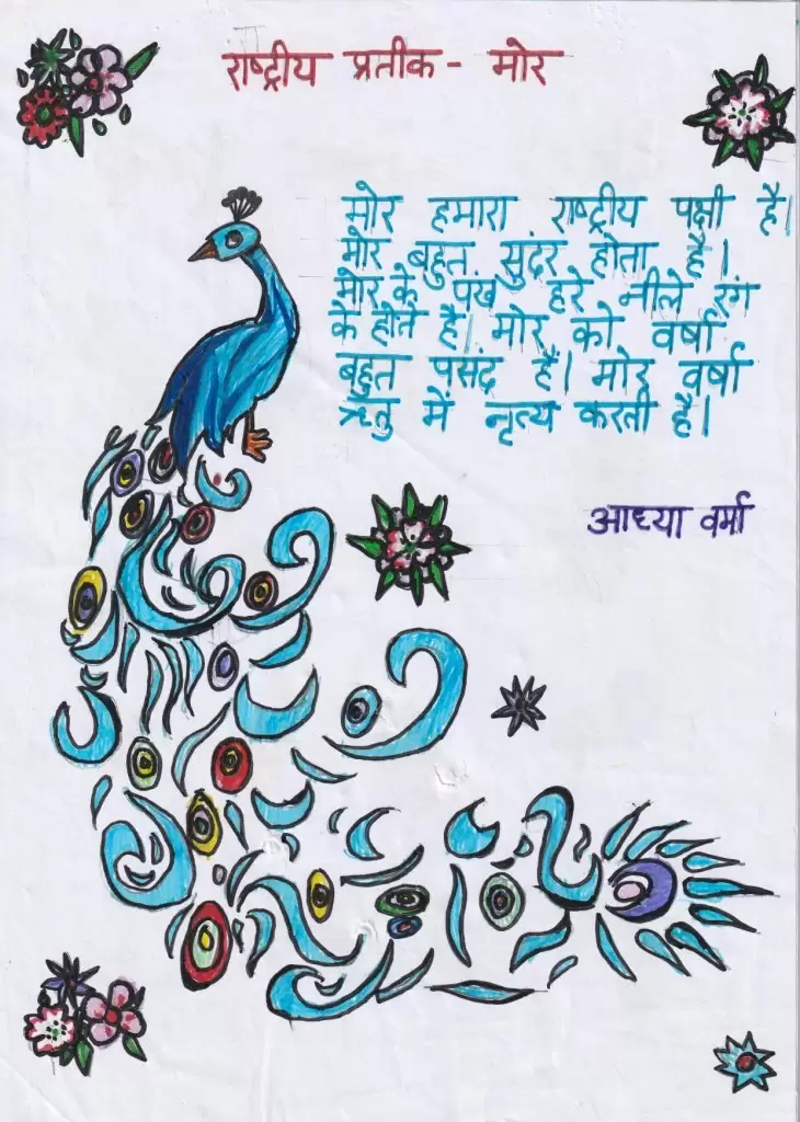 Peacock Drawing by Kid